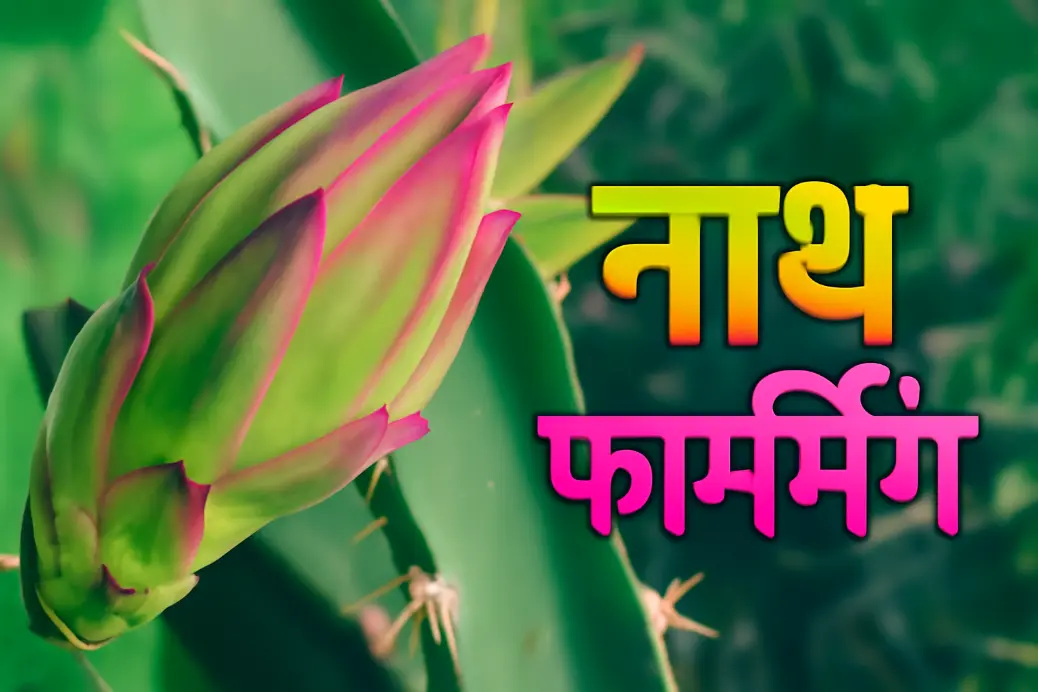 लोगो